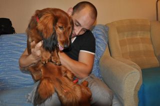 NADIM jamniki Kollapsar